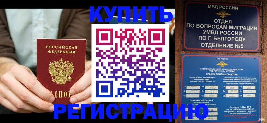 прописка 2025 в Порхове